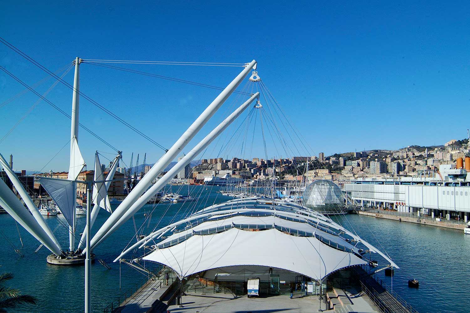 consulenza-startup-genova